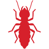 Termites
