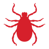 Ticks