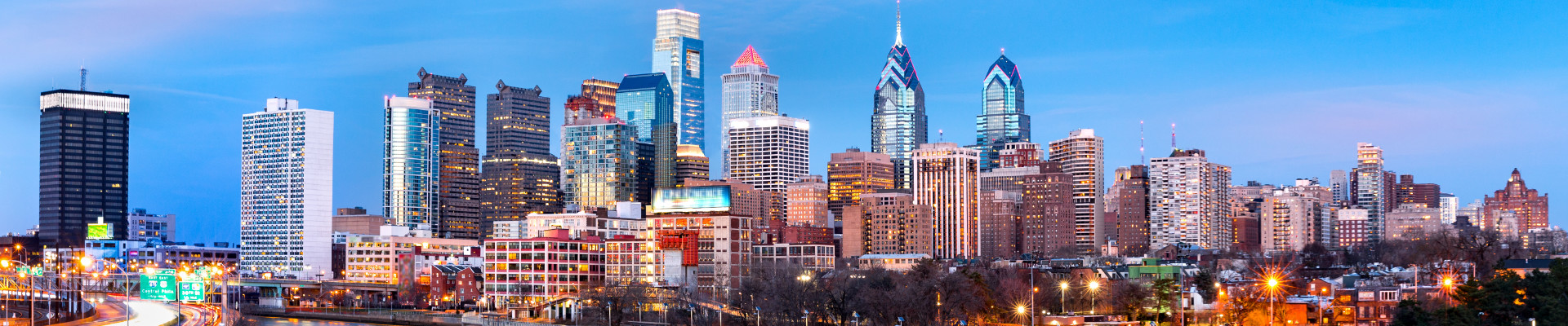 philadelphia commercial header viking pest control