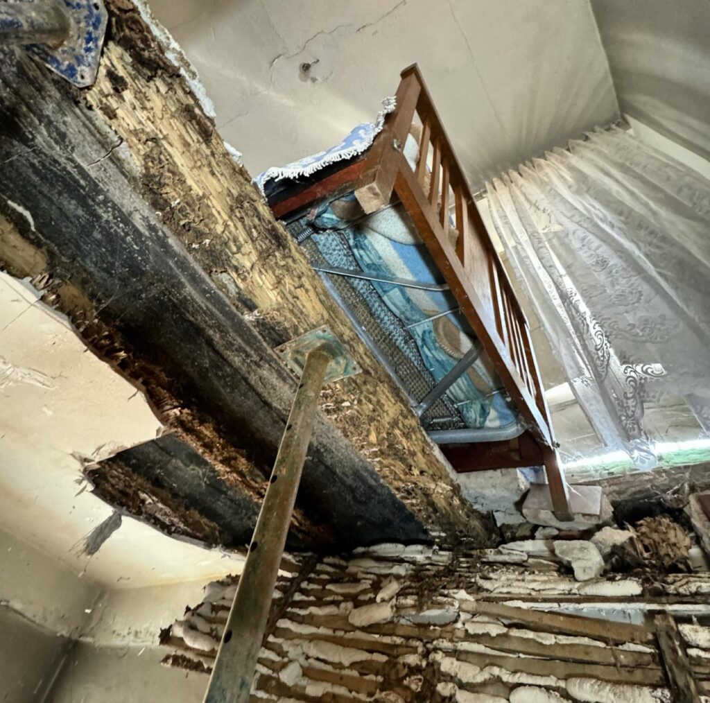 structural damage by termites