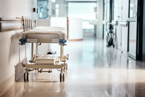 healthcare facility stock img viking pest control