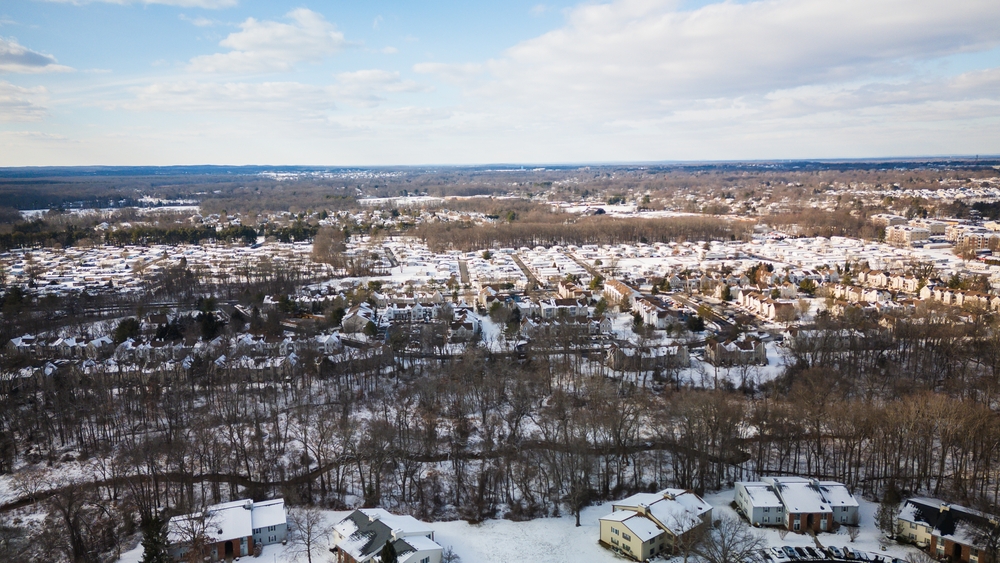 freehold commercial pest control viking pest control