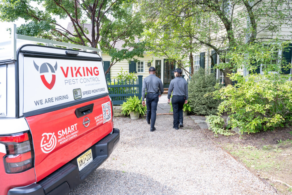 viking truck image